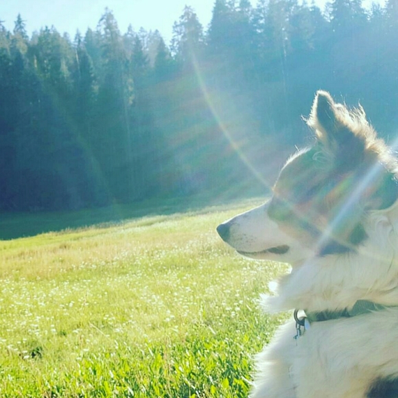 Meet your Posher, Desert Dream Dress - Picture 4 of 6